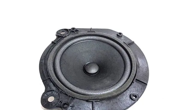 Tesla Model X Rear door speaker 105070900B