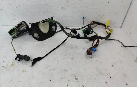 Rear door wiring loom