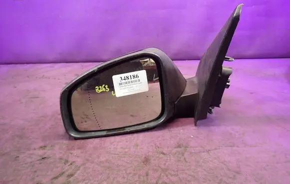 Renault Fluence Front door electric wing mirror DM301380851