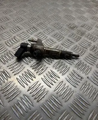 Peugeot 5008 Fuel injector 9674973080 50274V05