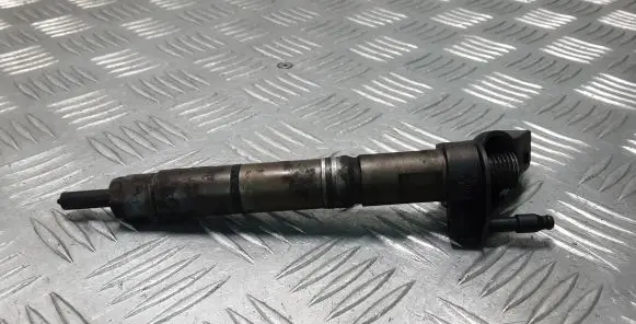 Mercedes-Benz R W251 Fuel injector 0445115027 A6420700587