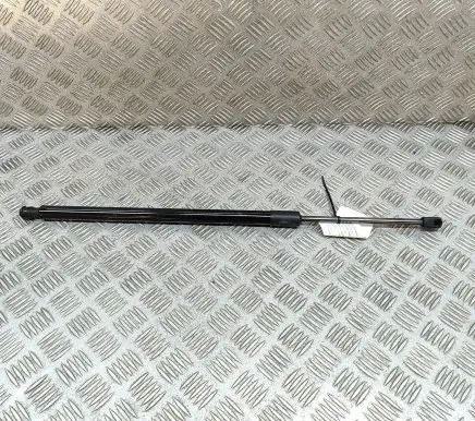 Tailgate/trunk strut/damper