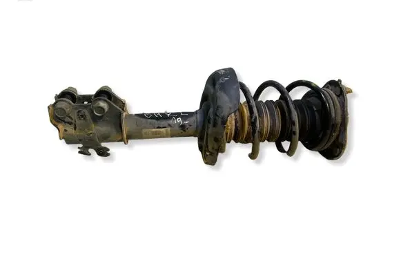 Toyota C-HR I Front shock absorber/damper 48520F4021 3563110719C