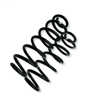 Toyota Corolla E210 E21 Rear coil spring 
