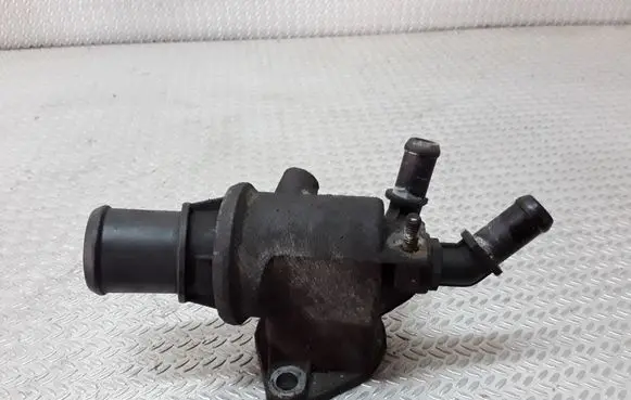 Thermostat/thermostat housing
