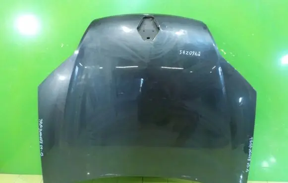 Renault Laguna III Engine bonnet/hood TP147