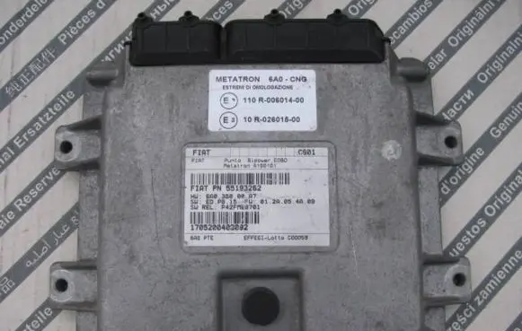 Fiat Punto (188) Other control units/modules 55193262 P42FME0701 110R00601400