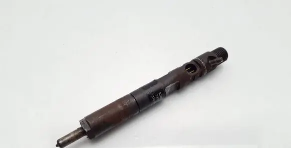 Renault Clio III Fuel injector 166001137R 8200421897 28232251