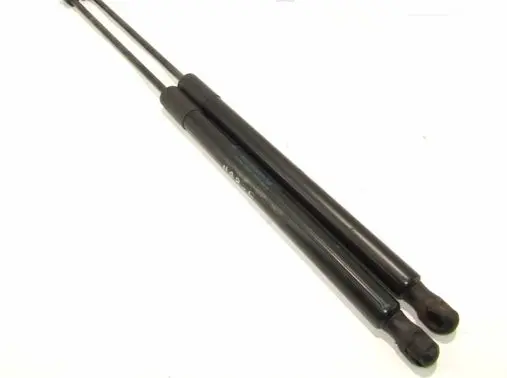 Ford B-MAX Tailgate/trunk strut/damper AV11R406A10AB