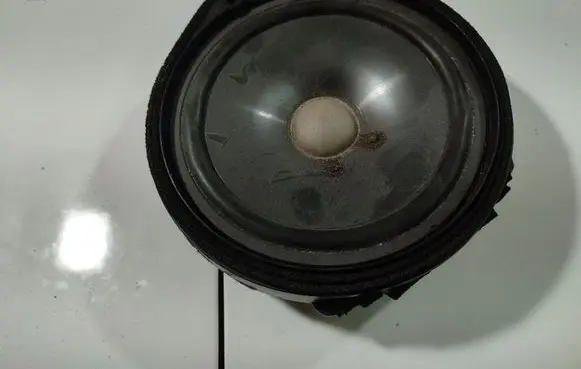 Front door speaker