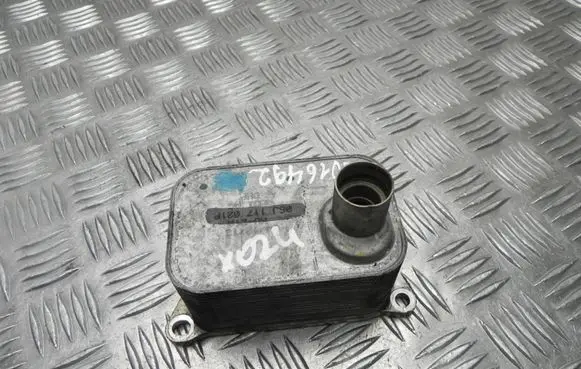 Volkswagen Jetta IV Engine oil radiator 06J117021P VD16492