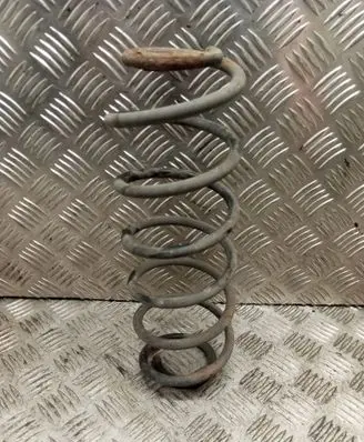 Rear coil spring