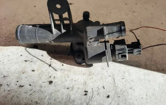 Thermostat/thermostat housing
