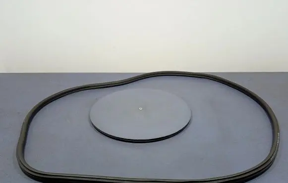 BMW X3 E83 Front door rubber seal 7393423