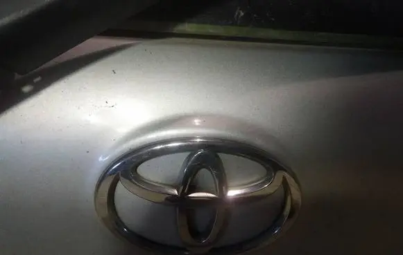 Manufacturer badge logo/emblem