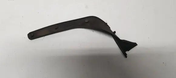 Rear/tail light trim molding