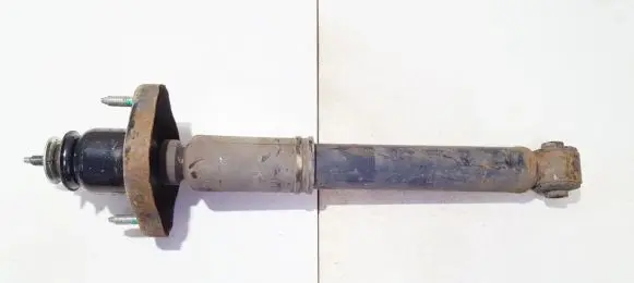 Mitsubishi Outlander Rear shock absorber/damper 4162a050