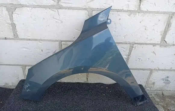 Ford Focus Fender