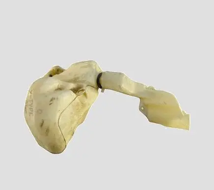 Jaguar S-Type Windshield washer fluid reservoir/tank