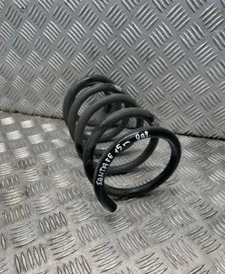 Hyundai Santa Fe Rear coil spring