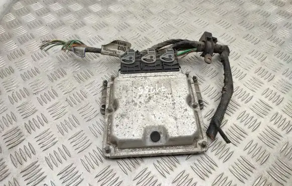 Renault Laguna II Engine control unit/module 0281011324 8200309316