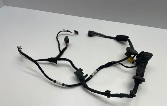 Front door wiring loom