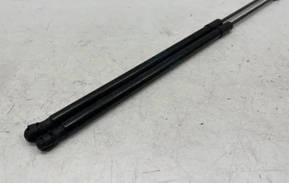 Tailgate strut