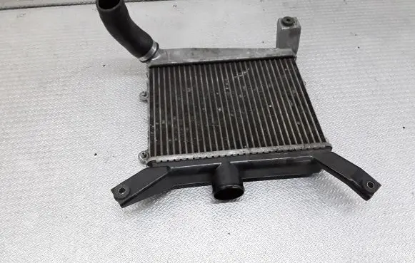 Toyota RAV 4 (XA20) Intercooler radiator