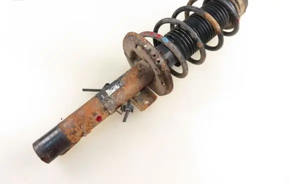Skoda Roomster (5J) Front shock absorber with coil spring 