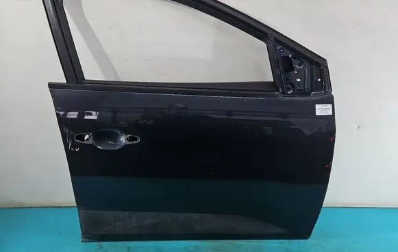 Dacia Sandero III Front door IMPRK1444020
