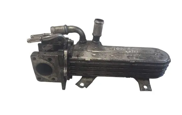 Seat Toledo III (5P) EGR valve cooler 038131513AD 3210275