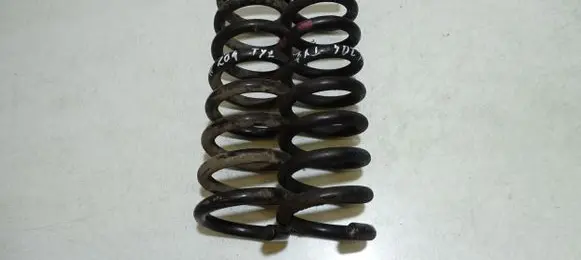 Mercedes-Benz C W204 Rear coil spring