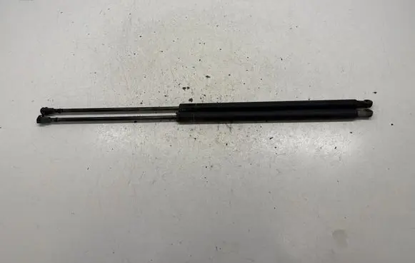 Front bonnet/hood damper/strut