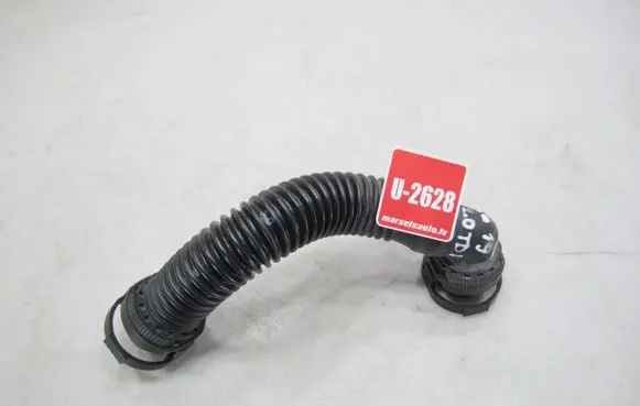 Volkswagen Tiguan Engine coolant pipe/hose NW19F1P4