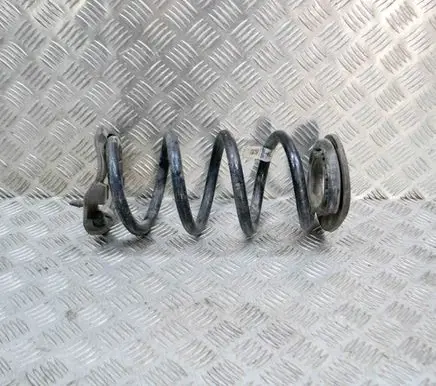 Tesla Model 3 Rear coil spring 104447201E