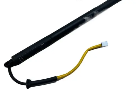 Tailgate strut
