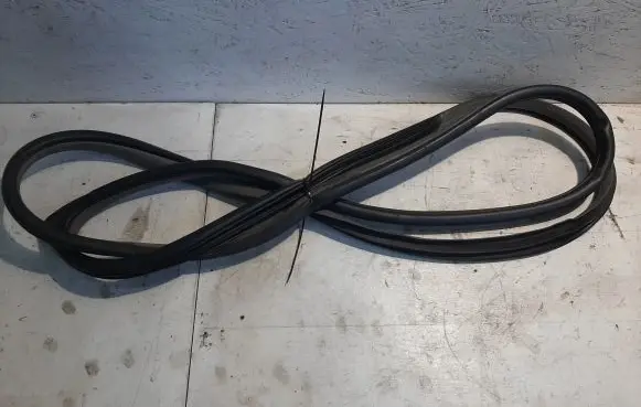 KIA Carnival Front door rubber seal