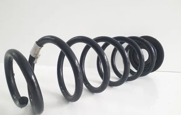 Rear coil spring