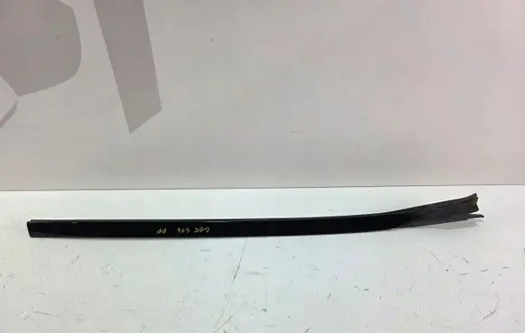 BMW X5 G05 Door glass rail 