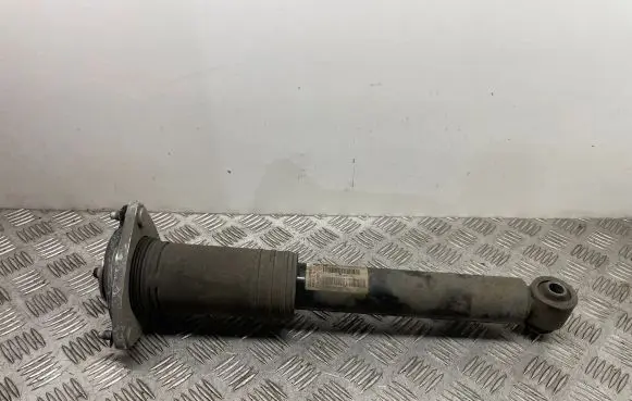 BMW X6 E71 Rear shock absorber/damper 6788511