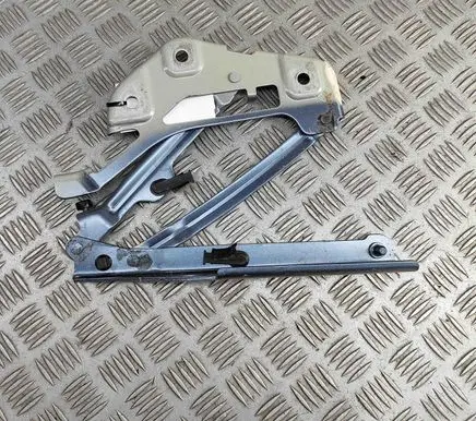 BYD Tang II Engine bonnet/hood hinges EKEA8402619A