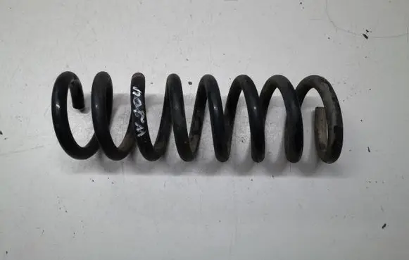 Rear coil spring
