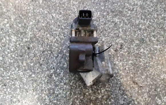 Suzuki SX4 EGR valve