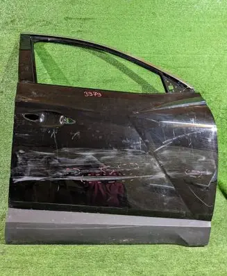 Hyundai Tucson IV NX4 Front door 