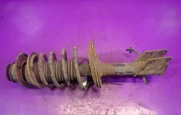 Fiat Doblo Front shock absorber with coil spring