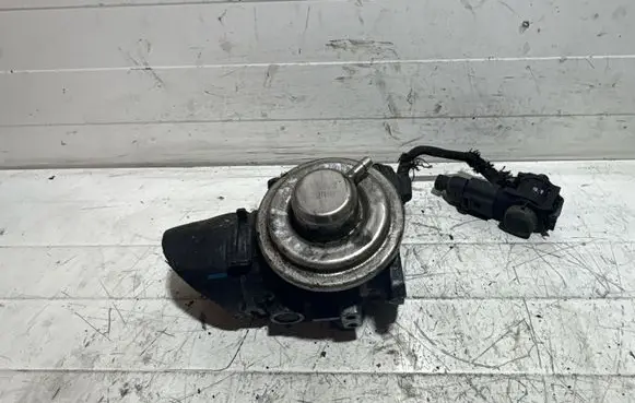 Volkswagen PASSAT B5 EGR valve 038131501E 021214147