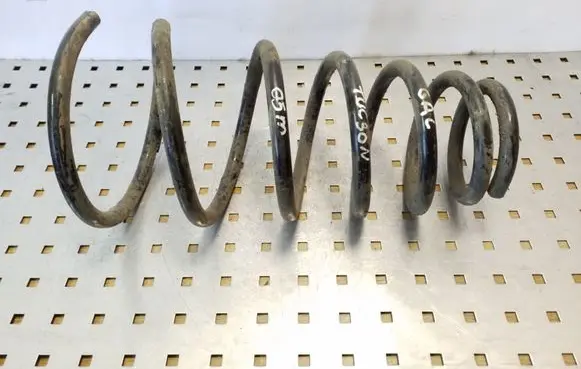 Rear coil spring