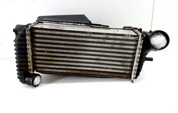 Ford C-MAX II Intercooler radiator BV619L440CJ