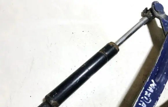 Tailgate/trunk strut/damper