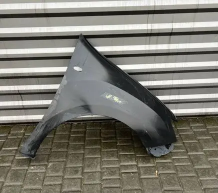 Renault Sandero II Fender
